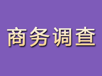 随县商务调查